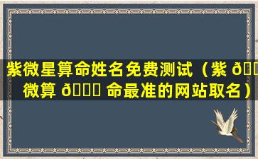 紫微星算命姓名免费测试（紫 🐎 微算 🐎 命最准的网站取名）